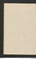 Seite 12, Tagebuch "1919 | Lang-Mannersdorf | Heft 2" (NHMW-PRAE-BBB-08)